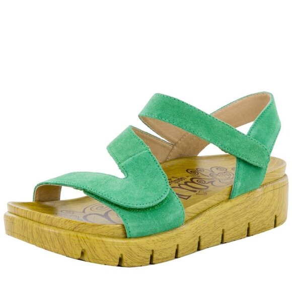 Alegria Anah Pear Sandal - Picture 1 of 11